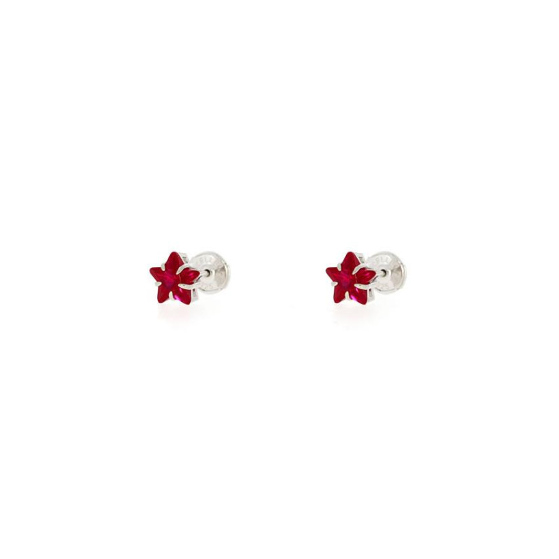 Puces d'oreilles étoiles